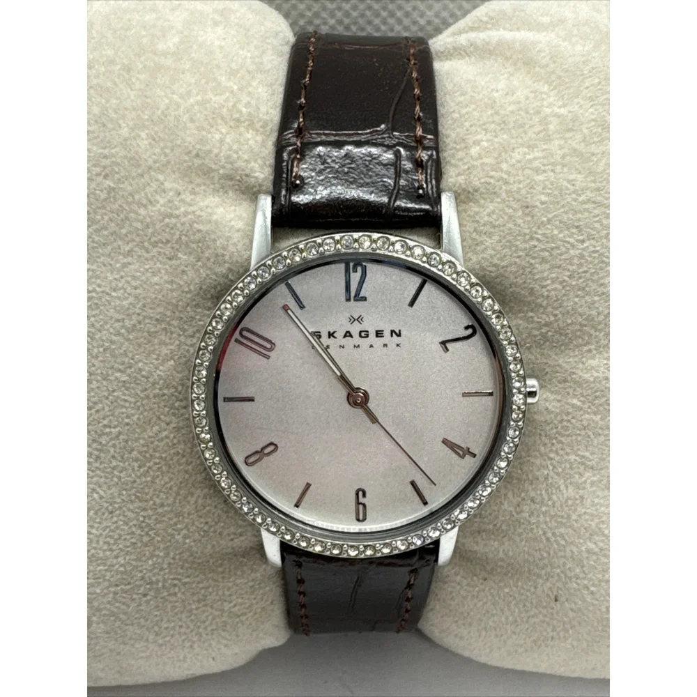 Skagen Denmark SKW2284 Women Brown Leather Analog Dial Quartz Wrist Watch AEA288